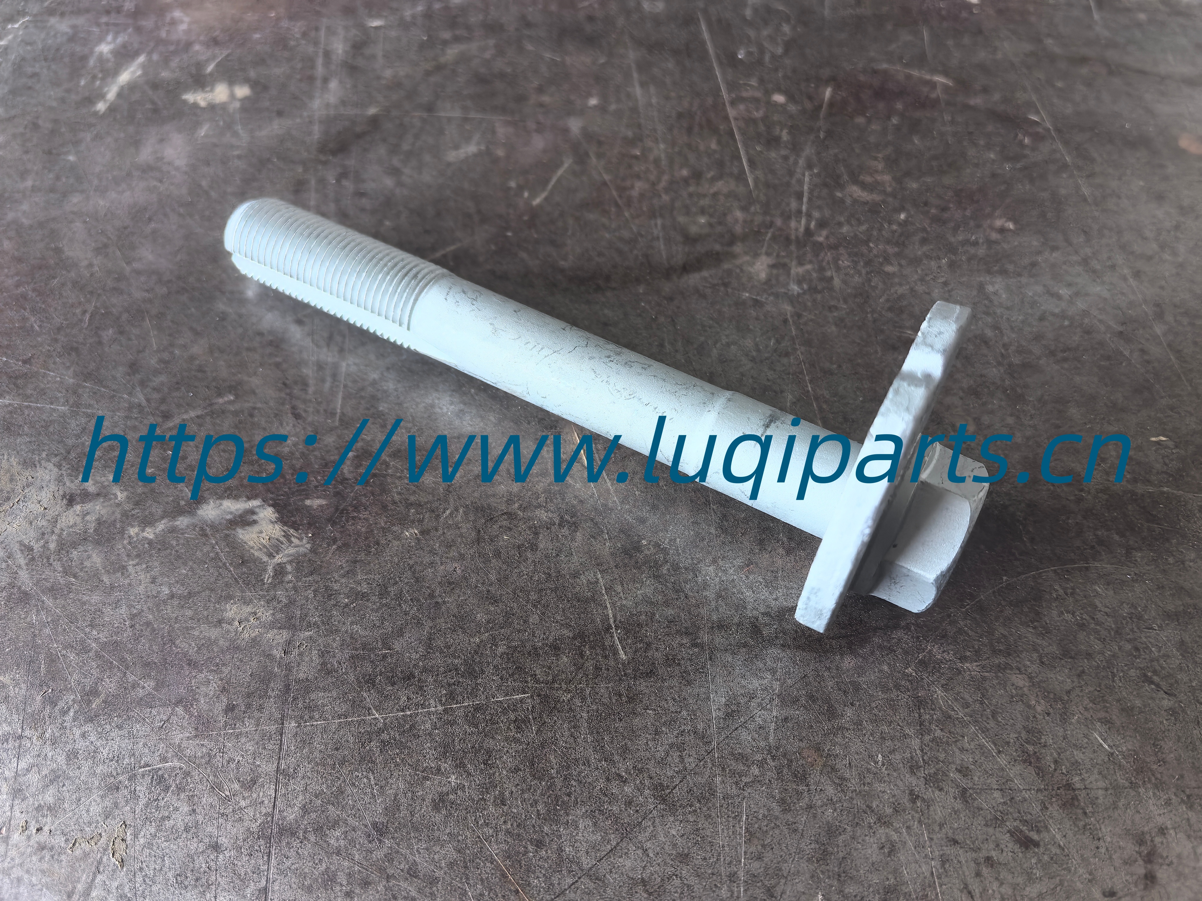 2904015xkv08a Camber bolt with adjusting washer GWM HAVAL