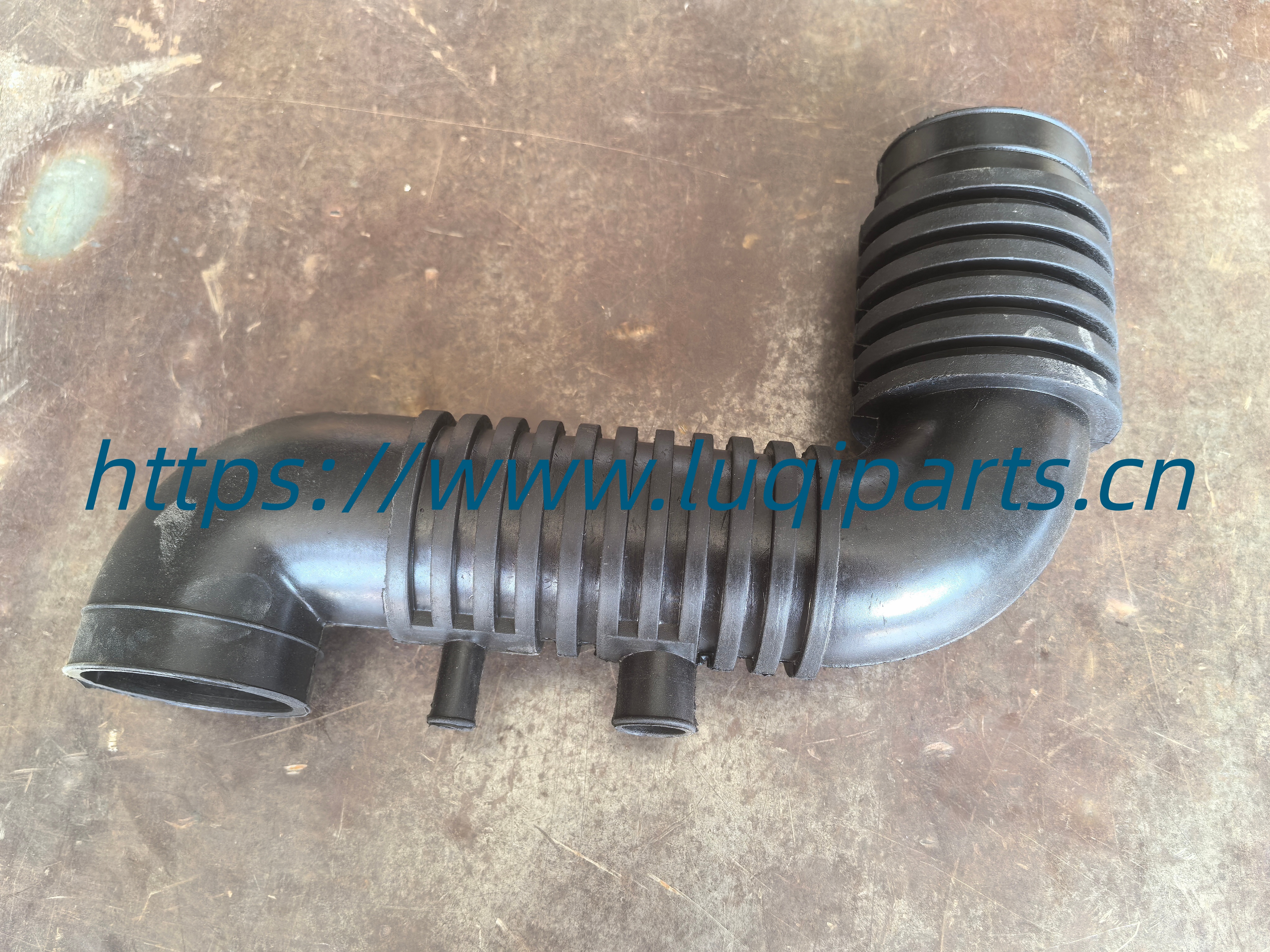 1109117-D01 Air filter corrugation GWM Safe