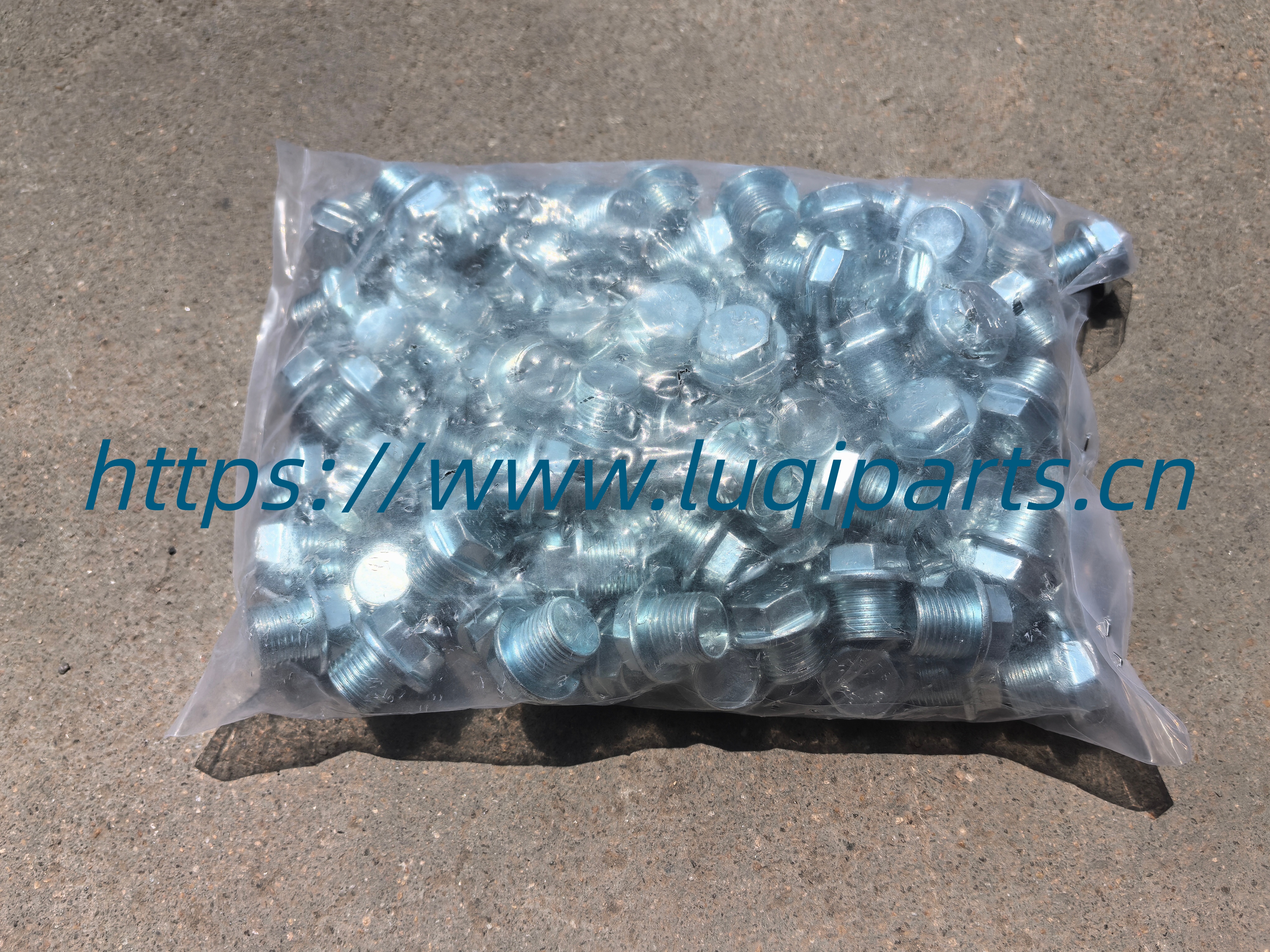 484J-1009014 Oil Drain Bolt CHERY Tiggo